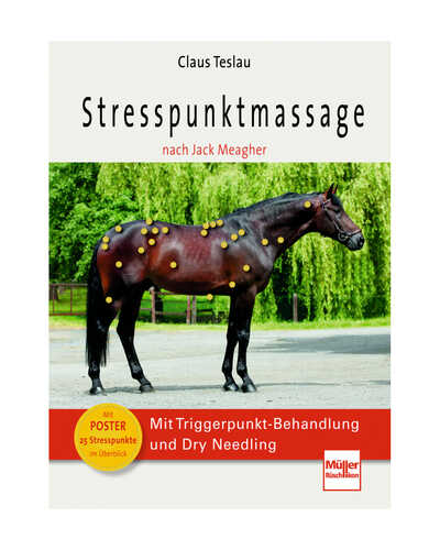 Buch Stresspunktmassage nach Jack Meagher