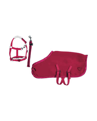 Spielzeugpferd-Starterset Cuddly Pony