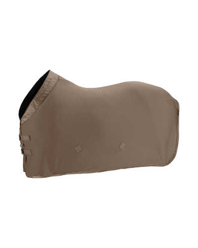 Abschwitzdecke Aerial Jersey Platinum 0 g