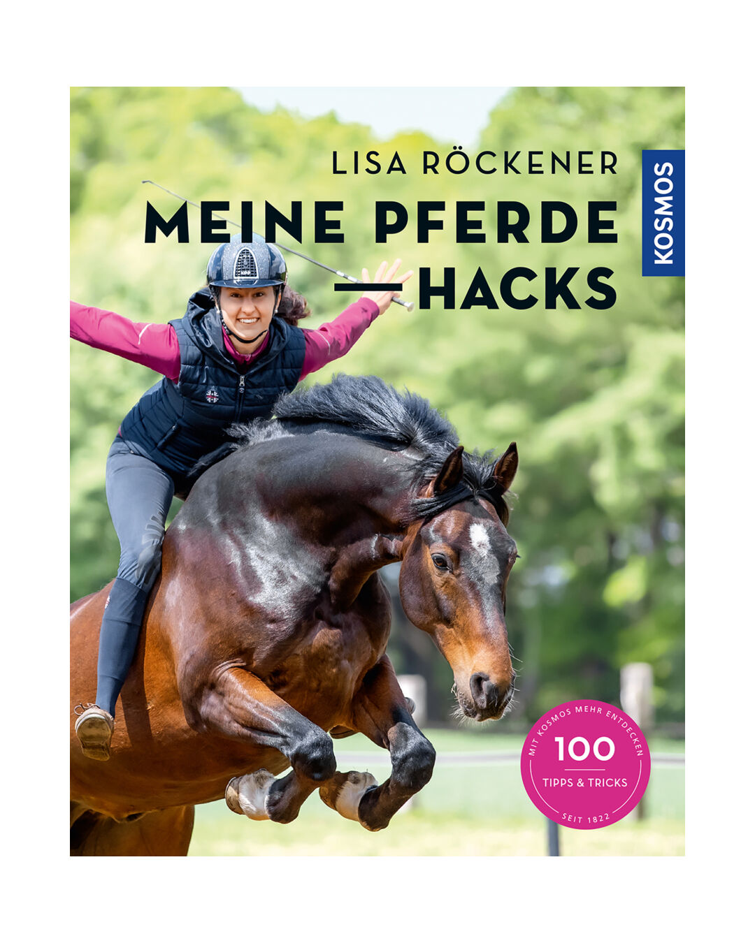 Buch Meine Pferde Hacks
