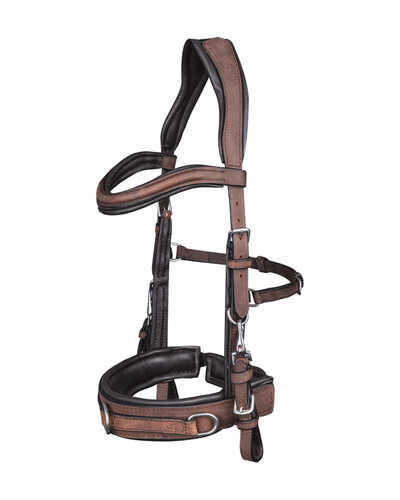 Kappzaum Anatomic