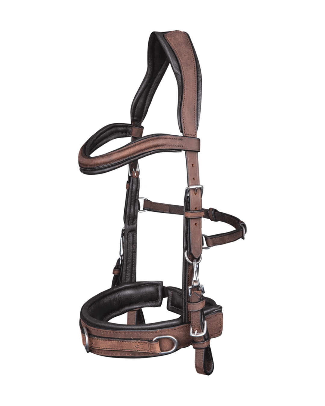 Kappzaum Anatomic
