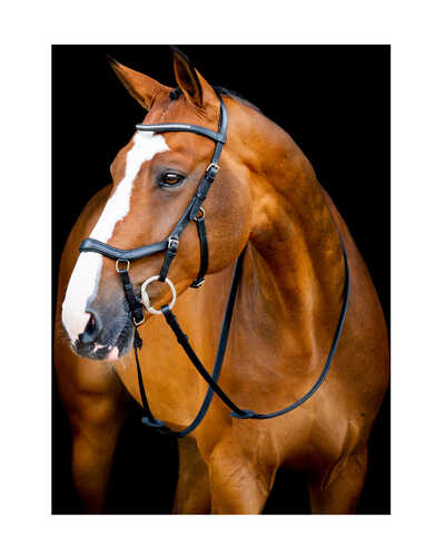 Micklem Diamante Competition Bridle