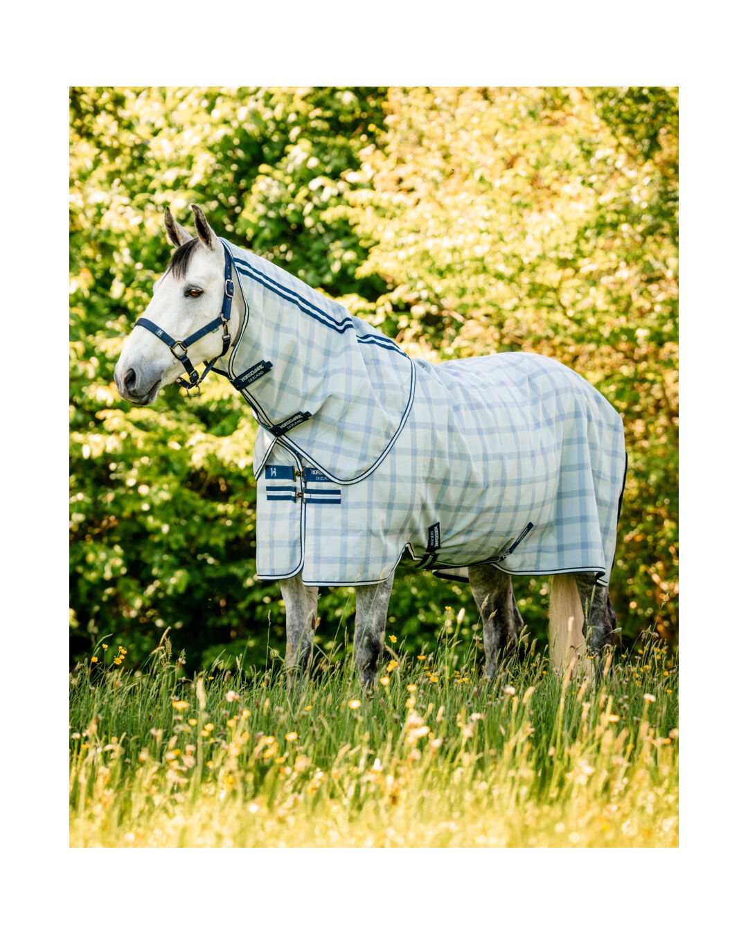 Fliegendecke Newmarket Plus