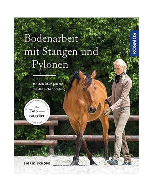 Buch Bodenarbeit mit Stangen und Pylonen