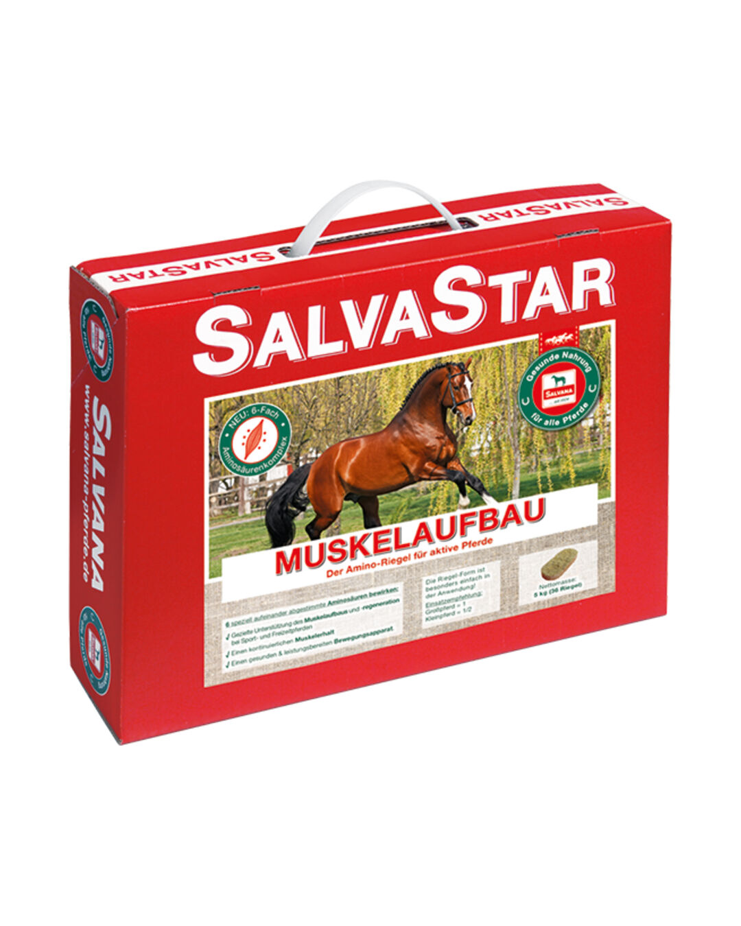 Muskelaufbau