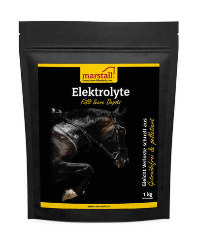 Elektrolyte