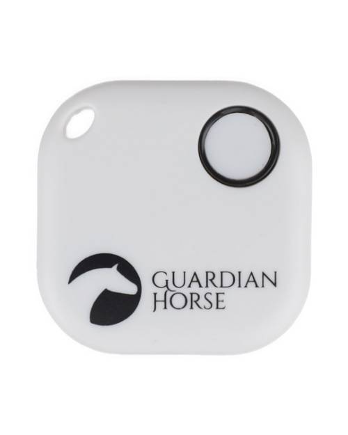 Unfall-Tracker Guardian Horse