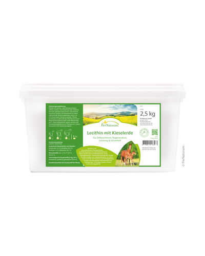 Lecithin Kieselerde
