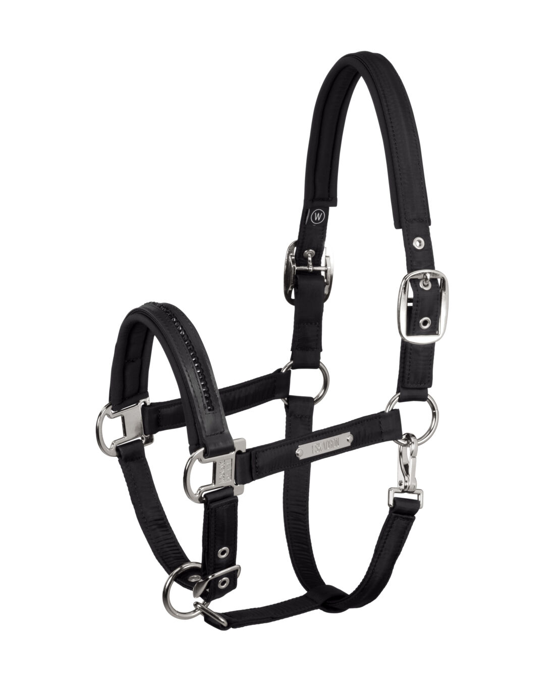 Halfter Double Pin Highgloss EQUIVA Black Edition