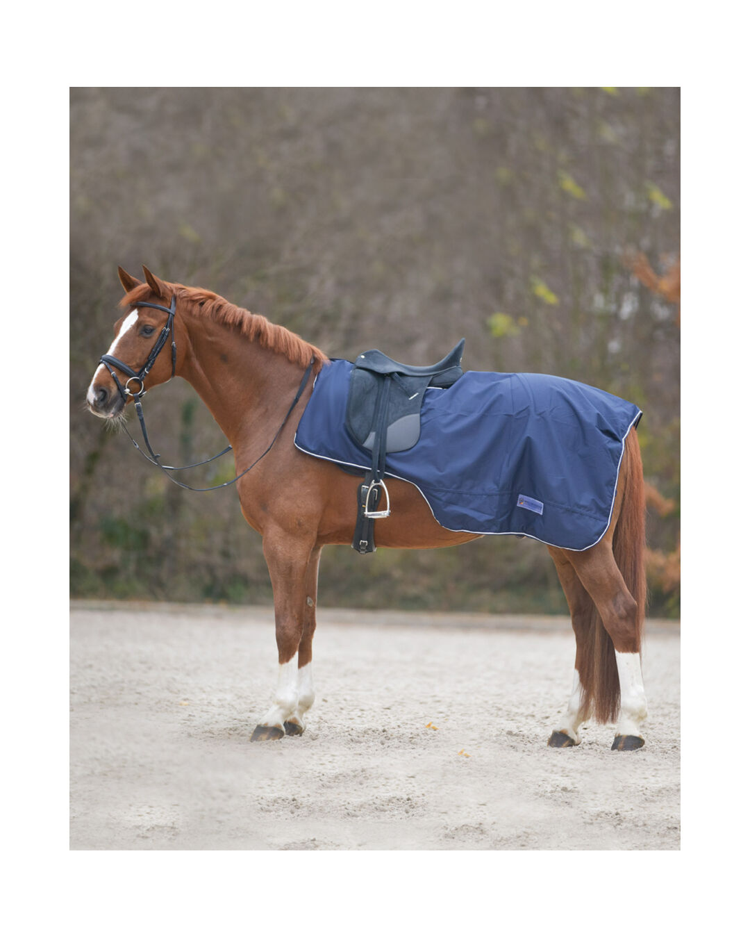 Ausreitdecke Comfort 0 g Ausreitdecke Comfort 0 g