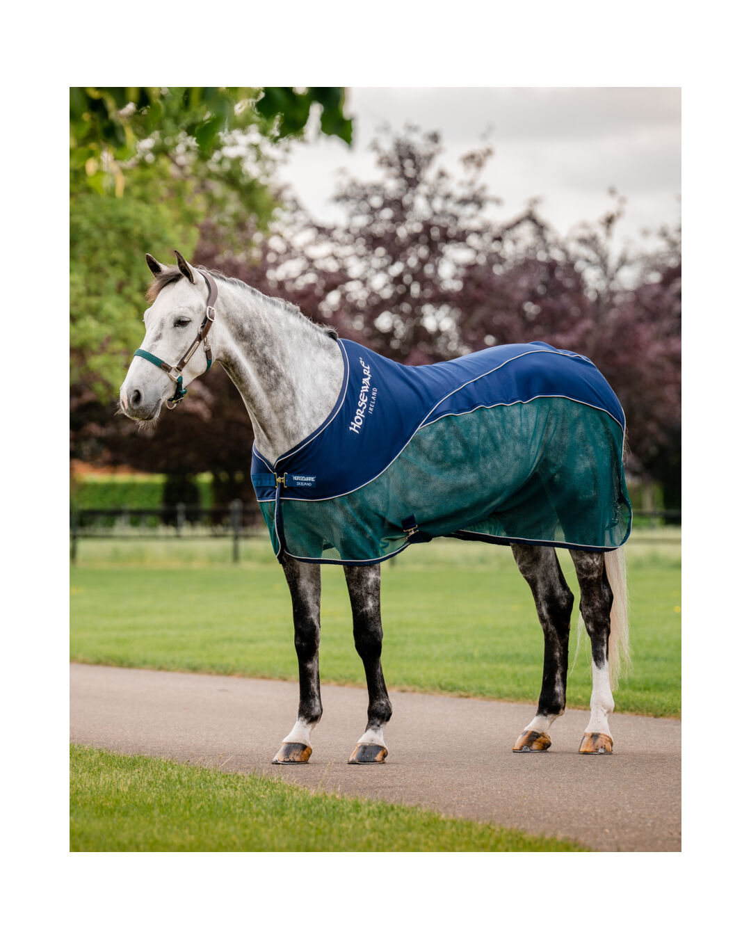 Fliegen- & Abschwitzdecke Signature Sport Cooler 0 g