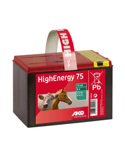 Weidezaunbatterie Energy
