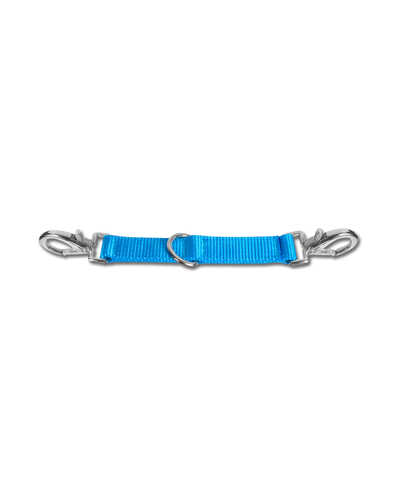 Longierbrille mit D-Ring