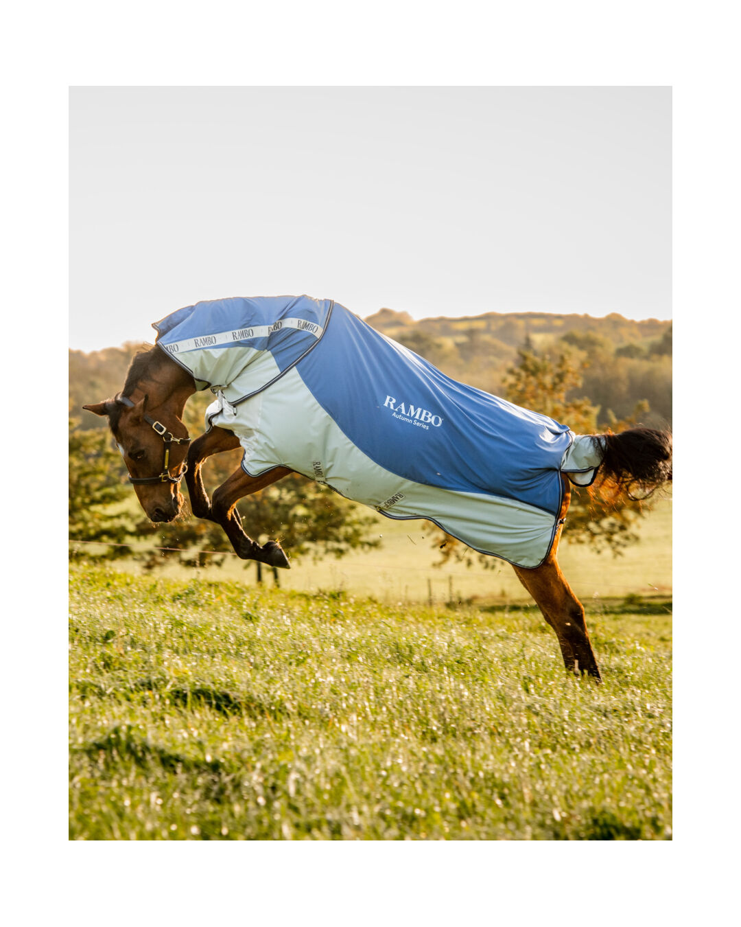 Outdoordecke Autumn Series 0 g / 100 g