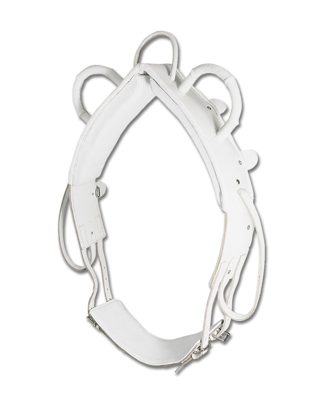 Voltigiergurt mit Mittelriemen