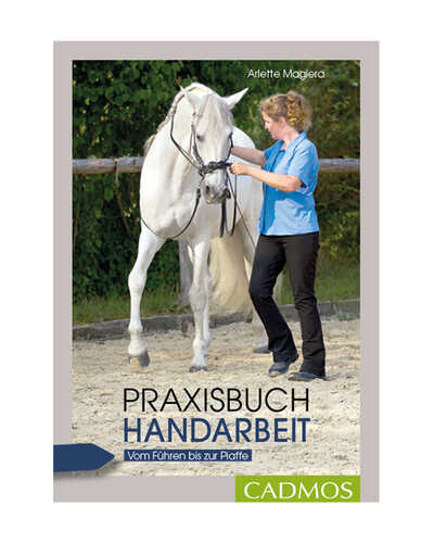 Buch Praxisbuch Handarbeit 