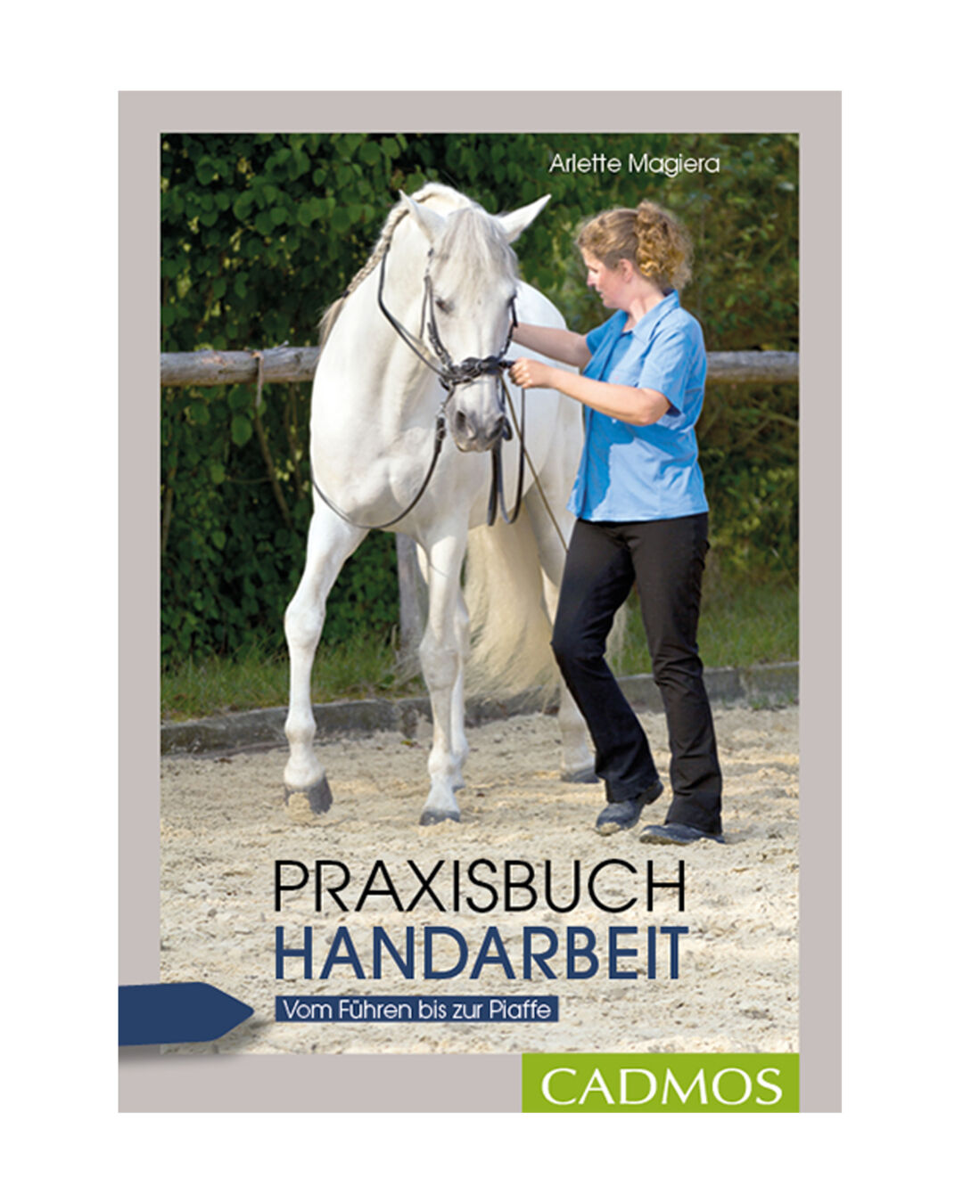 Buch Praxisbuch Handarbeit