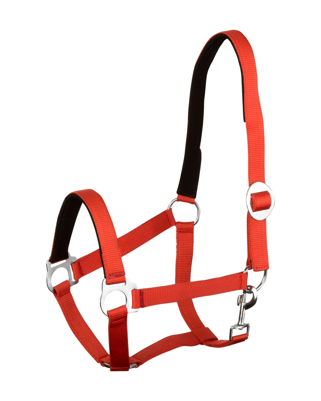 Lederhalfter Basic Schwarz - German Riding Verstellbar