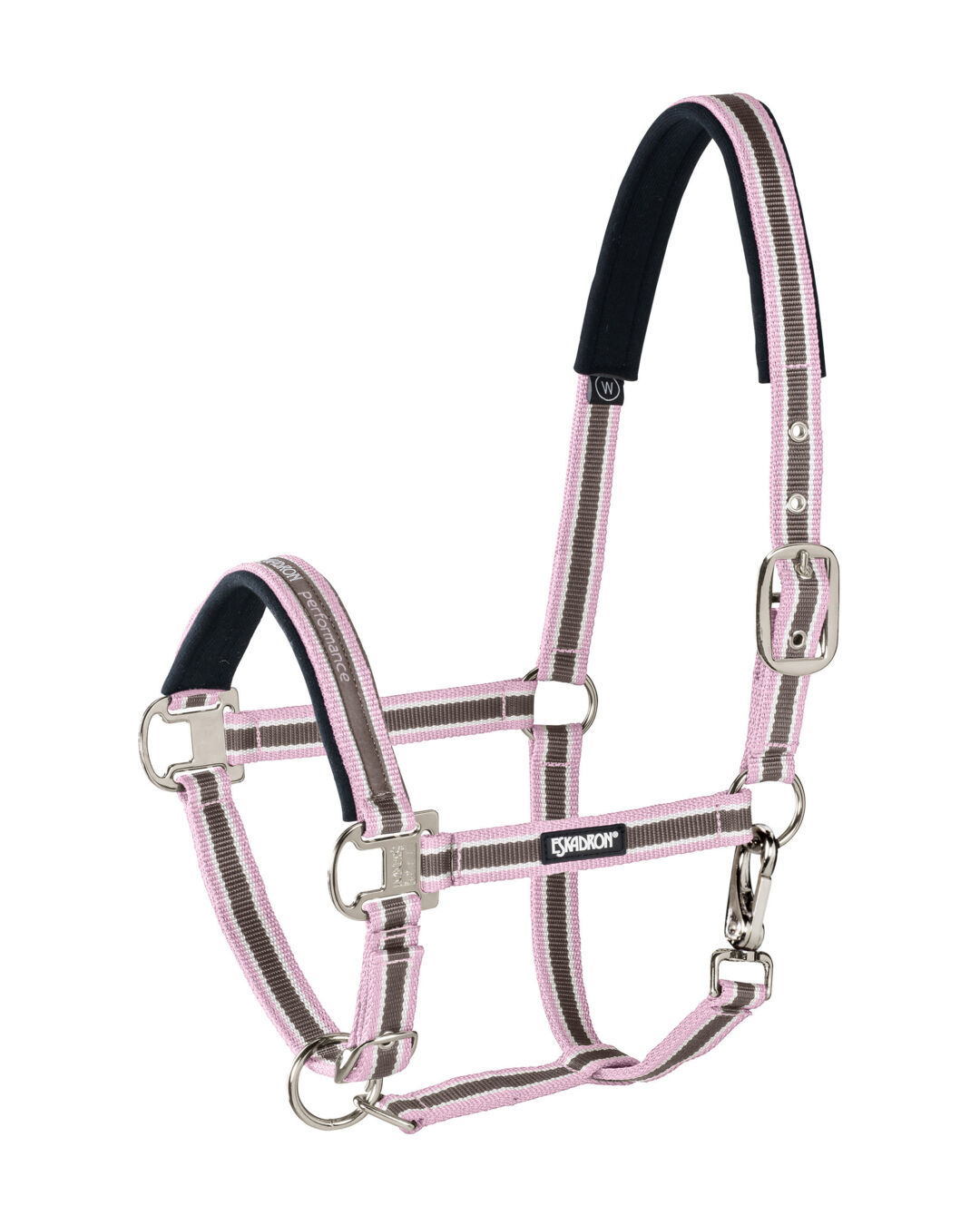 Halfter Pin Buckle