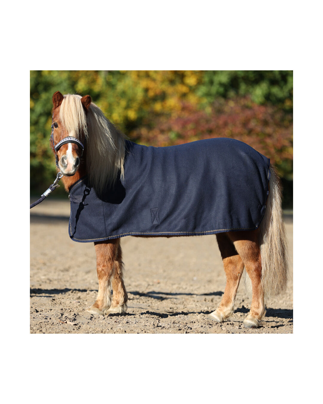 Fleece-Abschwitzdecke Shetty Ecoline
