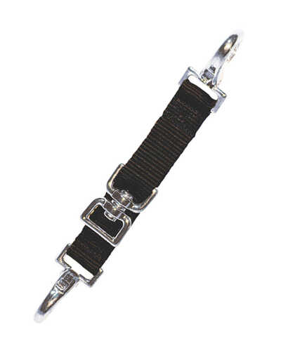 Longierbrille