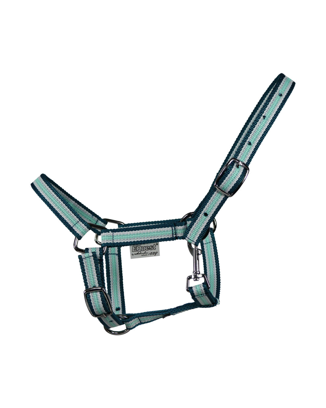 Halfter Dual Shetty