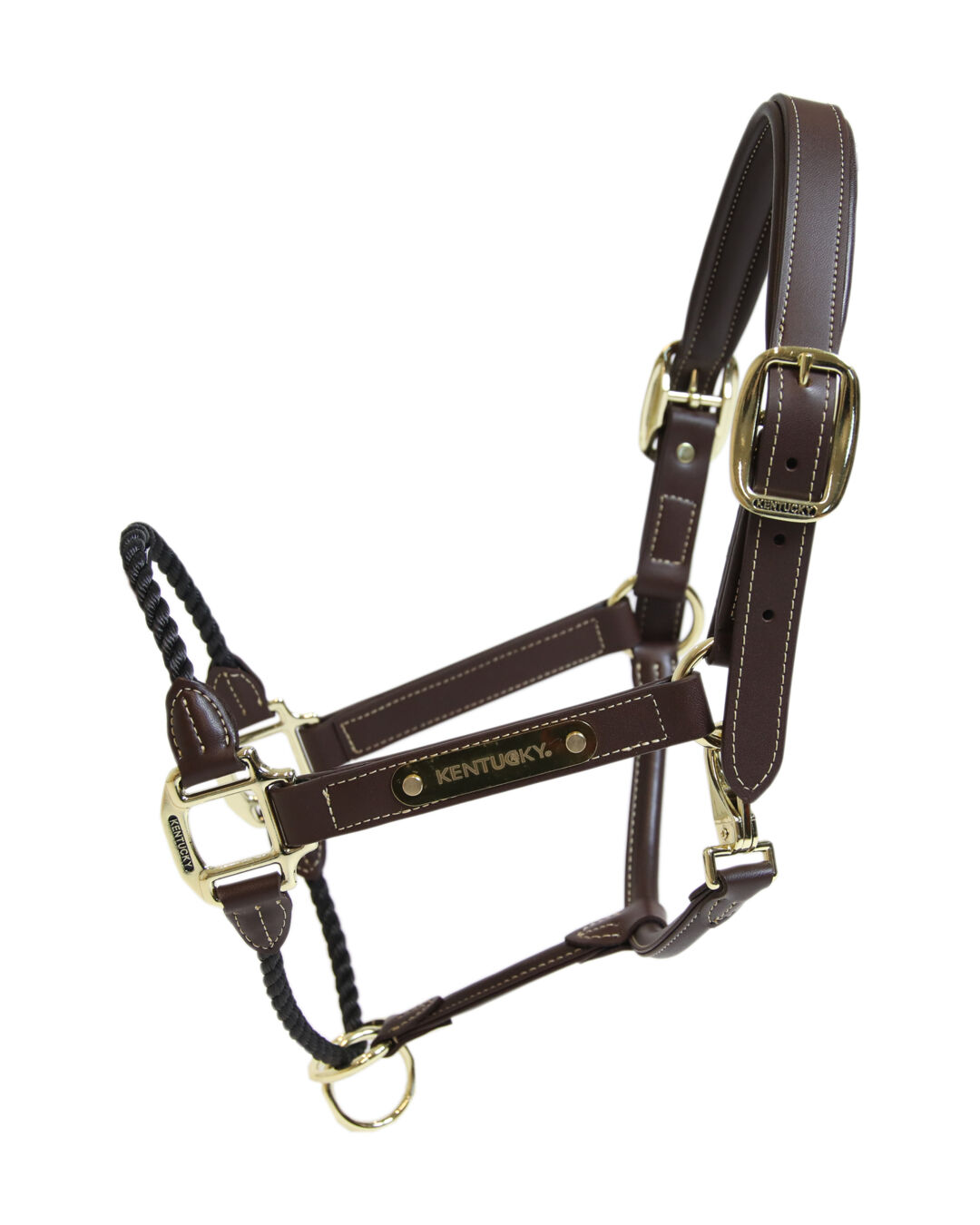 Lederhalfter Rope
