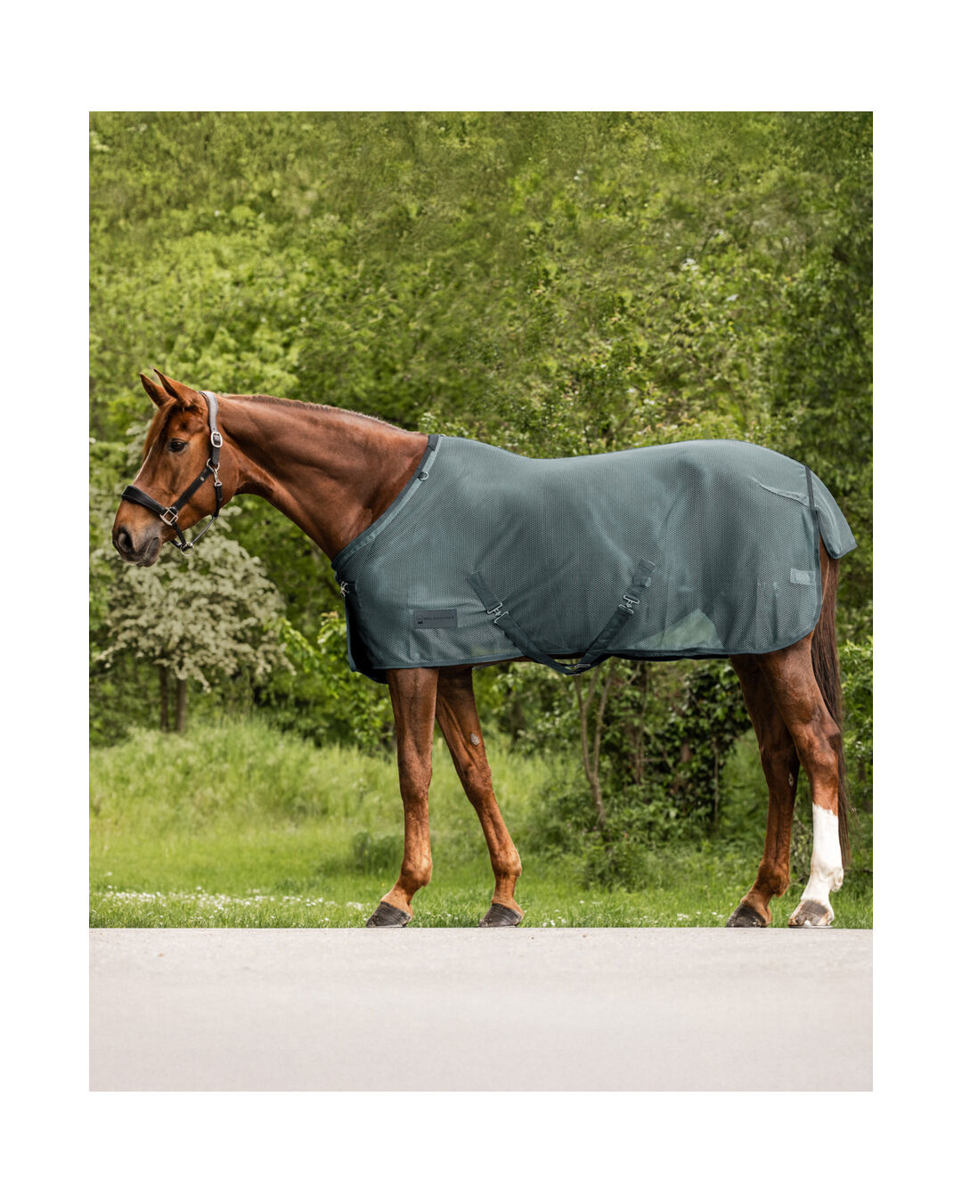 Fliegendecke Comfort