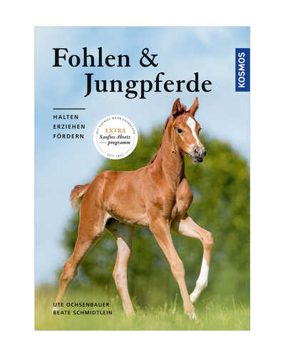 Buch Fohlen und Jungpferde: halten, erziehen, fördern