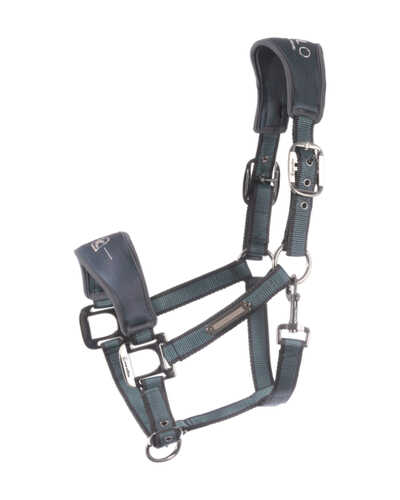 Halfter CavalSoftshell