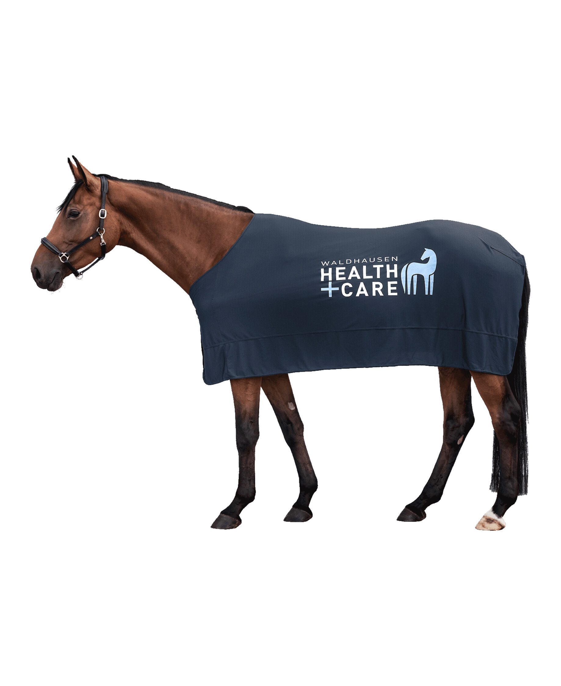 Sommer-Kühldecke W-Health + Care Ice Layer