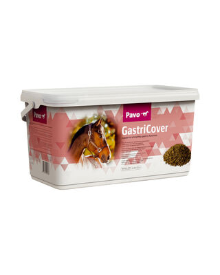 Ergänzungsfutter GastriCover