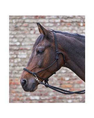 Knotenhalfter mit Zügeln