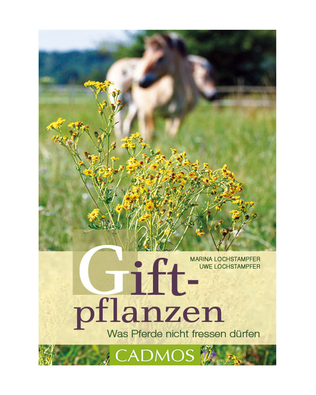 Lochstampfer Giftpflanzen