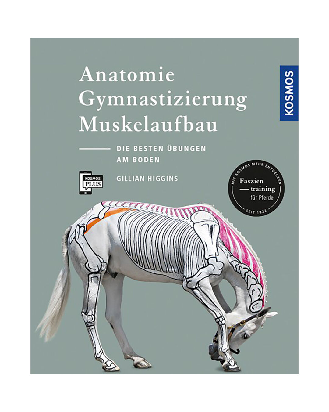 Buch Anatomie, Gymnastizierung und Muskelaufbau Buch Anatomie, Gymnastizierung und Muskelaufbau