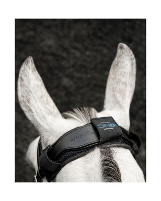Genickschoner Ionic