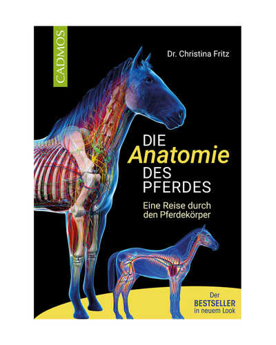 Buch Die Anatomie des Pferdes