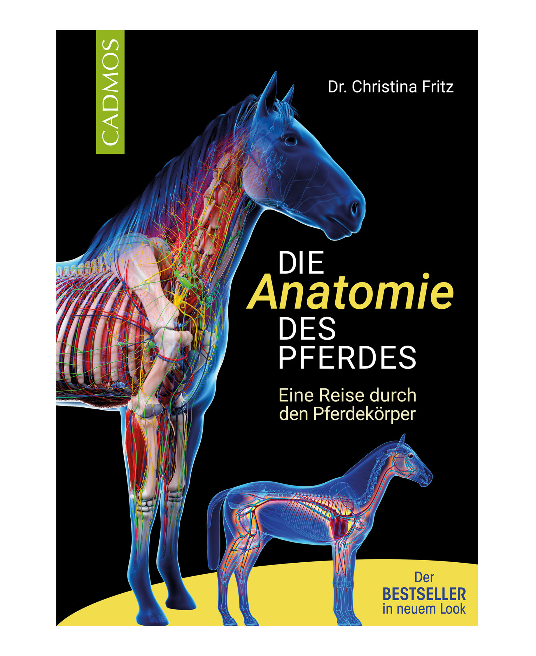Buch Die Anatomie des Pferdes