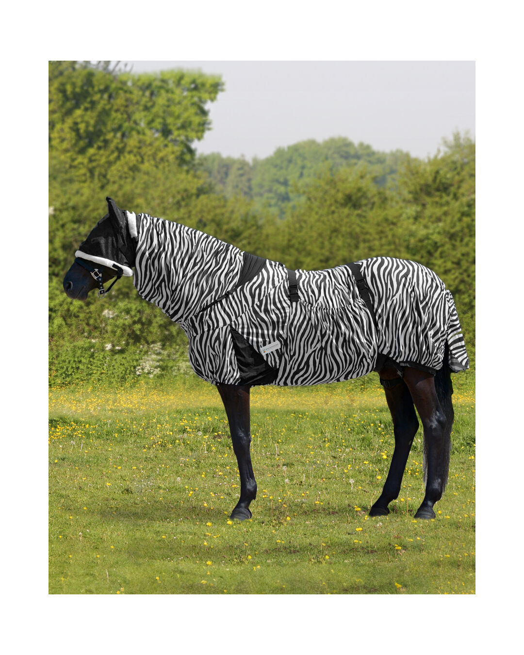 Ekzemer- & Fliegendecke Zebra