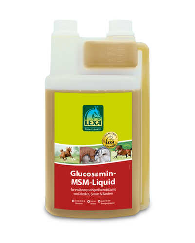 Ergänzungsfutter Glucosamin-MSM-Liquid