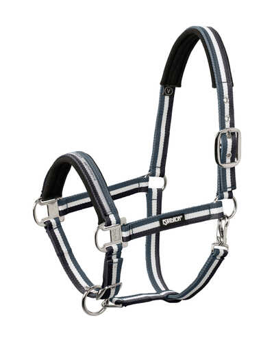 Halfter Pin Buckle