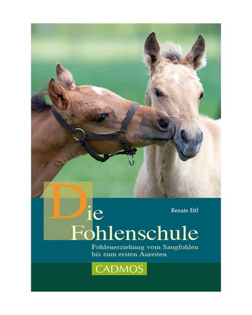 Buch Die Fohlenschule