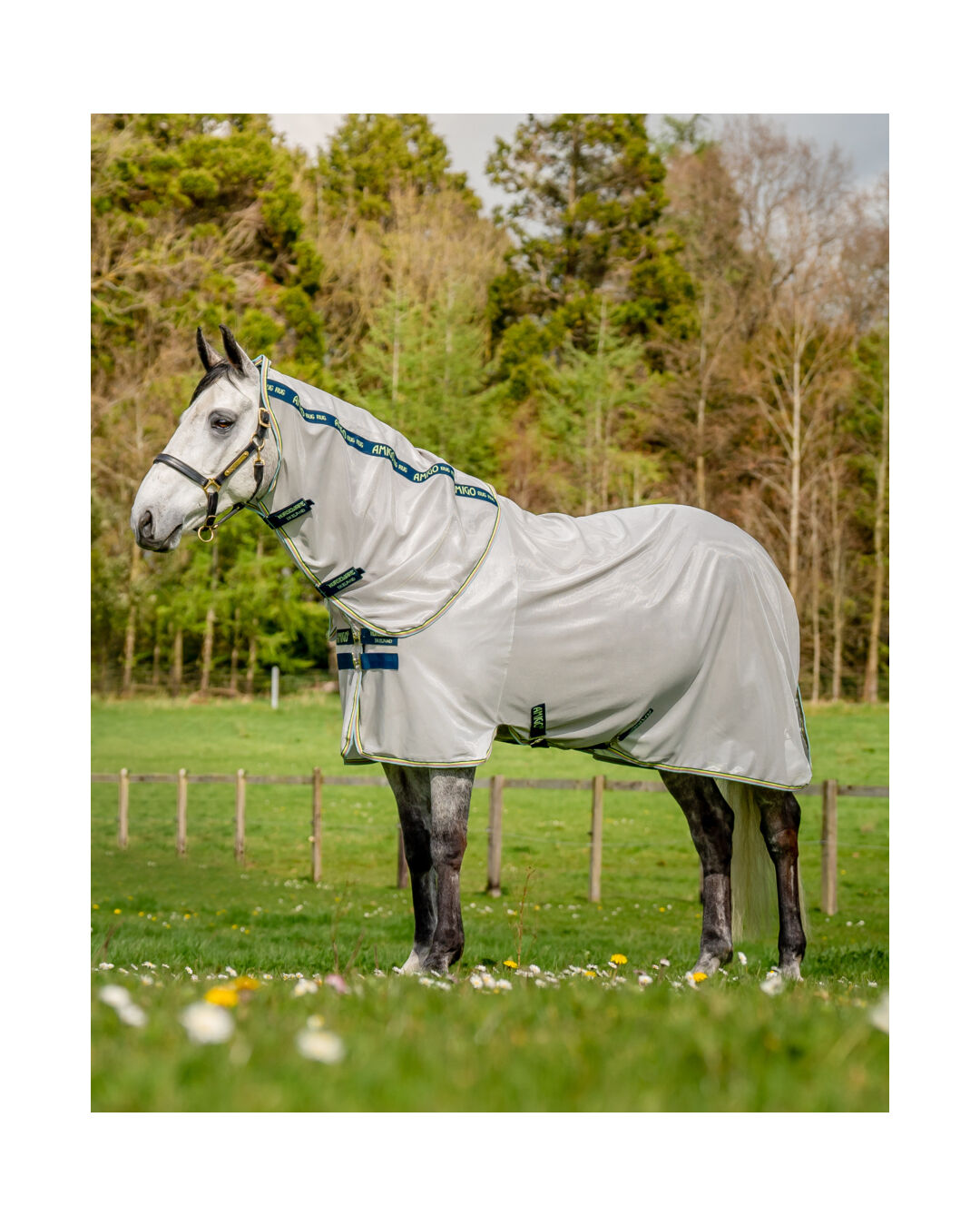 Fliegendecke Bug Rug