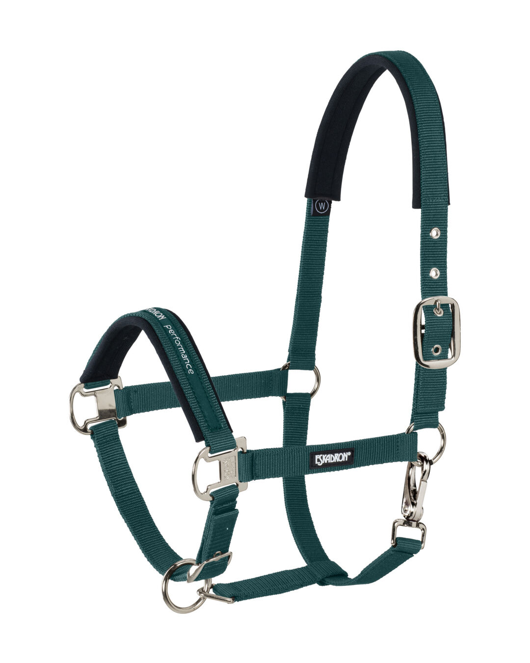 Halfter Pin Buckle