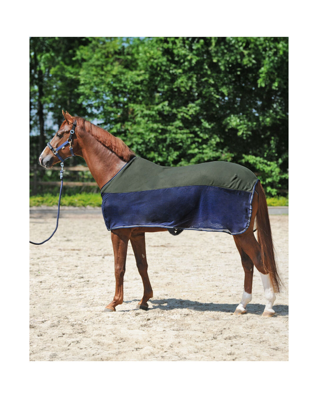 Transport- & Fliegendecke Fly'n Fleece