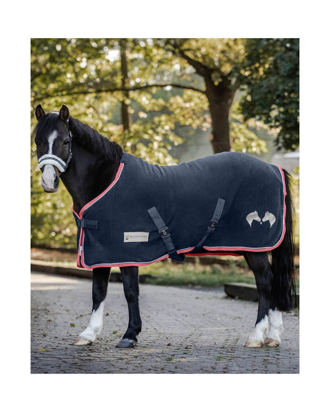 Abschwitzdecke Lucky Abschwitzdecke Lucky